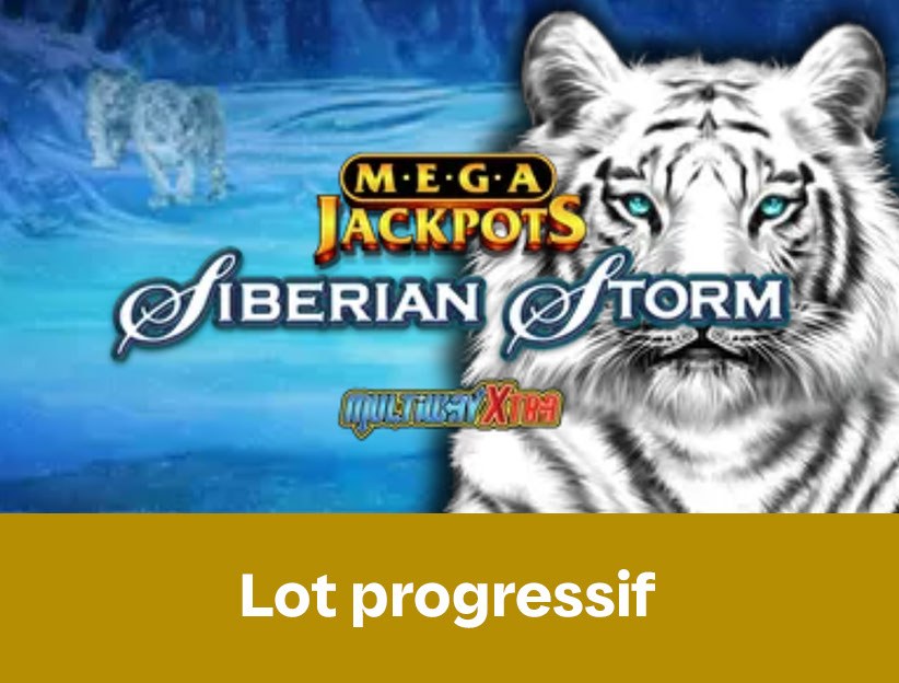 Jouer à la machine à sous en ligne MegaJackpots Siberian Storm sur lotoquebec.com