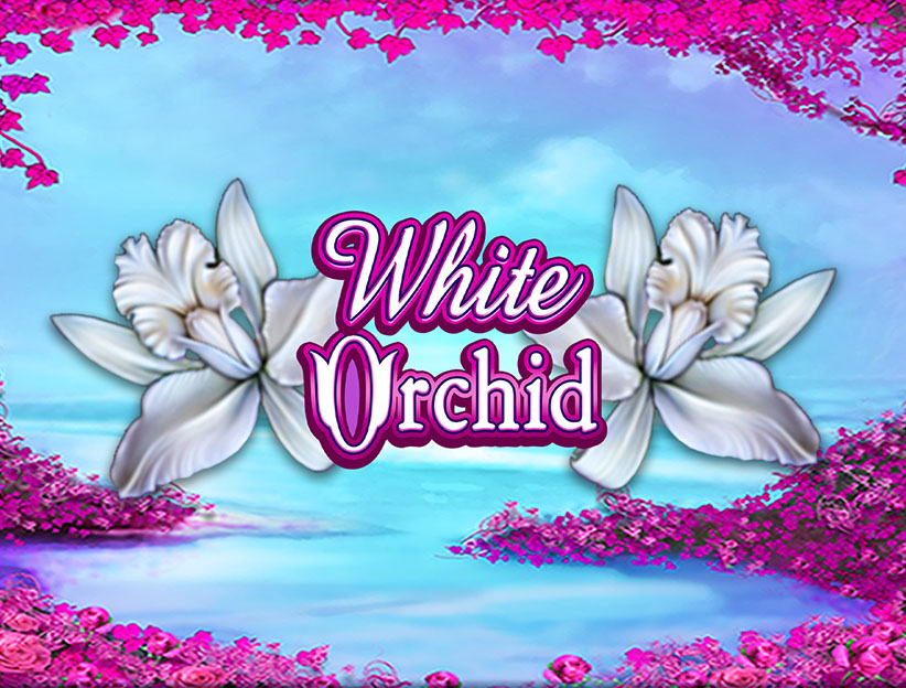 Jouer à la machine à sous en ligne White Orchid sur lotoquebec.com