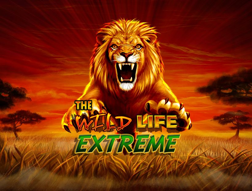 Jouer à la machine à sous en ligne The Wild Life Extreme sur lotoquebec.com