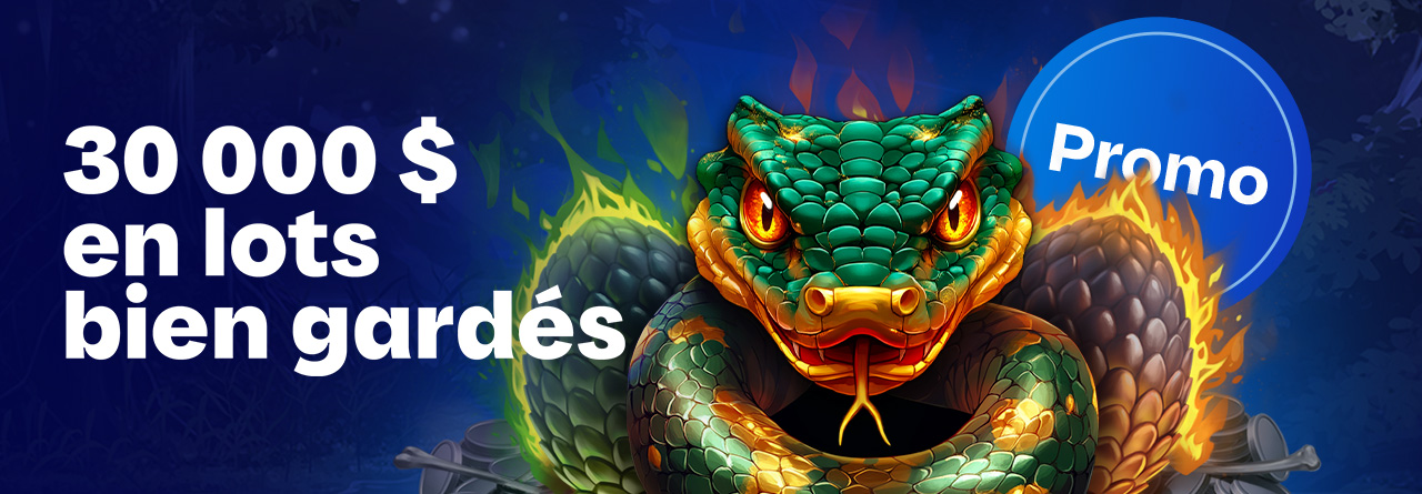 Promotion Lots bien gardés, promotion en ligne de Loto-Québec, lotoquebec.com