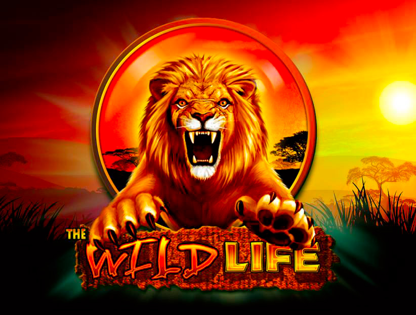 Jouer à la machine à sous en ligne The Wild Life sur lotoquebec.com