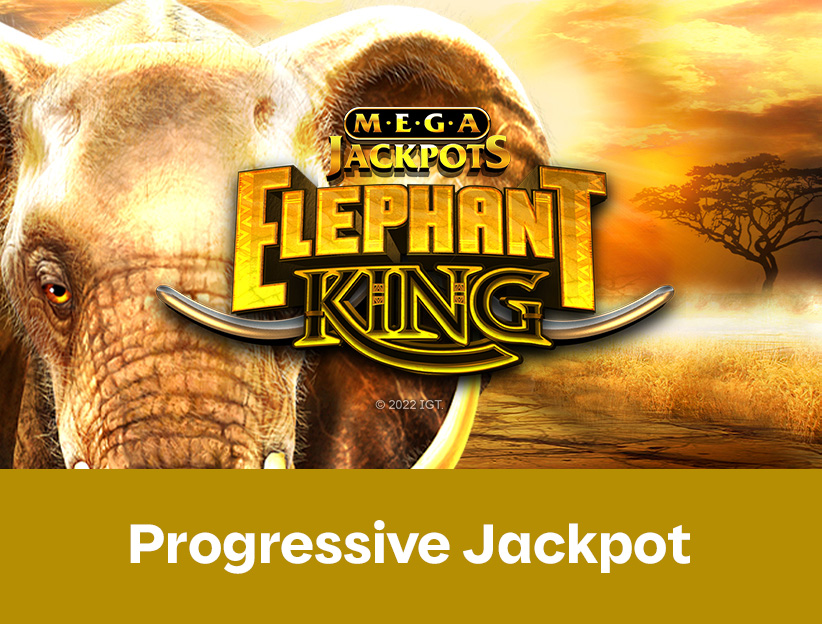 Play the MegaJackpots Elephant King online slot on lotoquebec.com