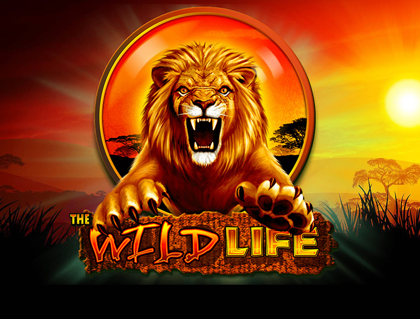Jouer à la machine à sous en ligne The Wild Life sur lotoquebec.com