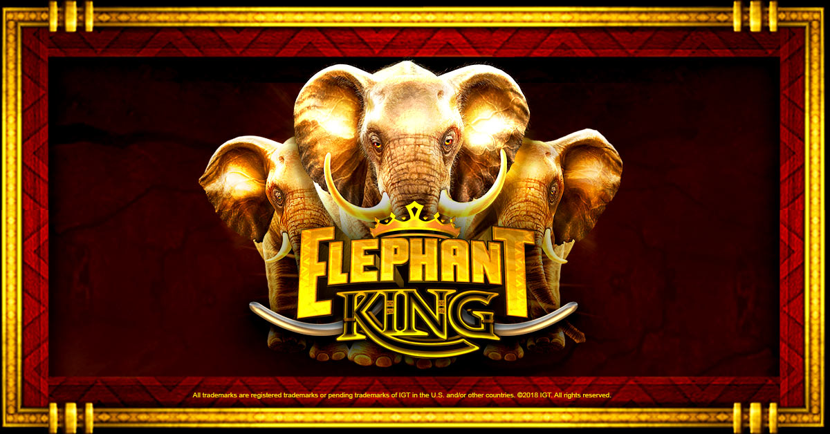 elephant king casinos