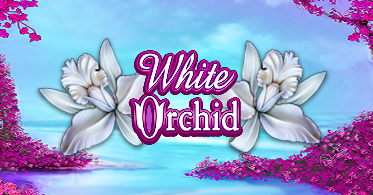 igt white orchid